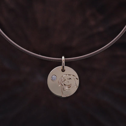 Chinese Zodiac Sun Tag